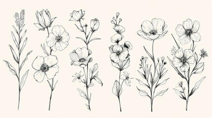 Floral set Collection with flowers hand drawn Design for invit  ,Generative ai - obrazy, fototapety, plakaty