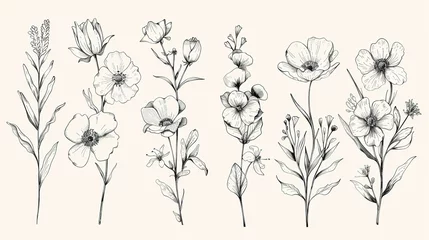 Fotobehang Floral set Collection with flowers hand drawn Design for invit  ,Generative ai © curek