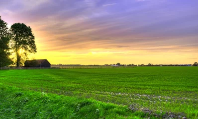 Fototapeten Farmhouse overlooking the meadows in rural Holland at sunset. © Alex de Haas