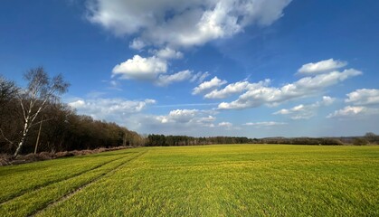 A late winter scene reveals a verdant field under a sky scattered with clouds, bordered by bare...