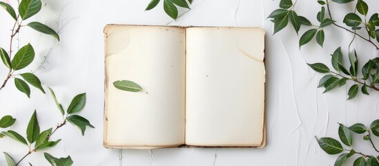 Sketchbook with blank pages against a white backdrop, with an open rustic notepad and green leaves on a table from a bird's eye view, providing space for text or ads.