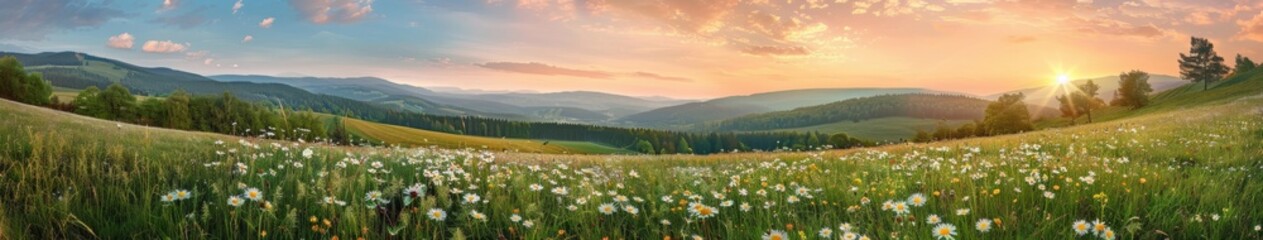 Fototapeta premium Grass Field With Mountains