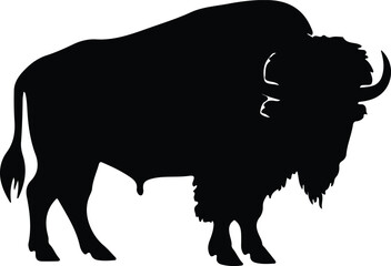 buffalo silhouette - obrazy, fototapety, plakaty