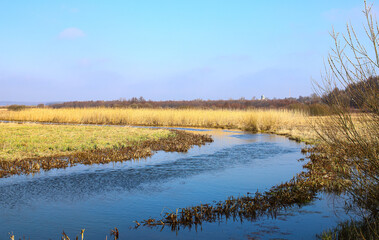 Beautiful landscape. Early spring, a flowing river, dry yellow grass, against the background of a rich blue sky. The beauty of the native land, the west of Ukraine. Panoramic photo.
