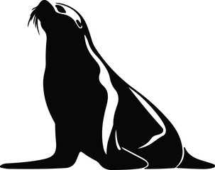 California sea lion silhouette