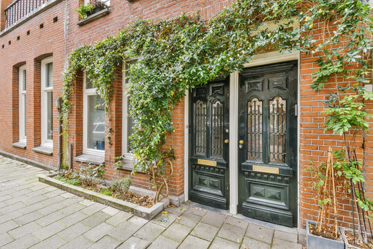 Traditional brick facade with ivy-covered door