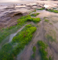 waves on the shore at sunset, Porto Ferro, Sassari, Alghero, Sardinia, Italy