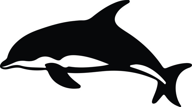 black and white dolphin swimming on white clip art preview
