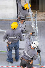 construction workers with safety equipment assembling scaffolding for maintenance of building facade on city street - 770022319