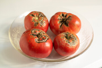 organically grown red tomatoes - 770022713