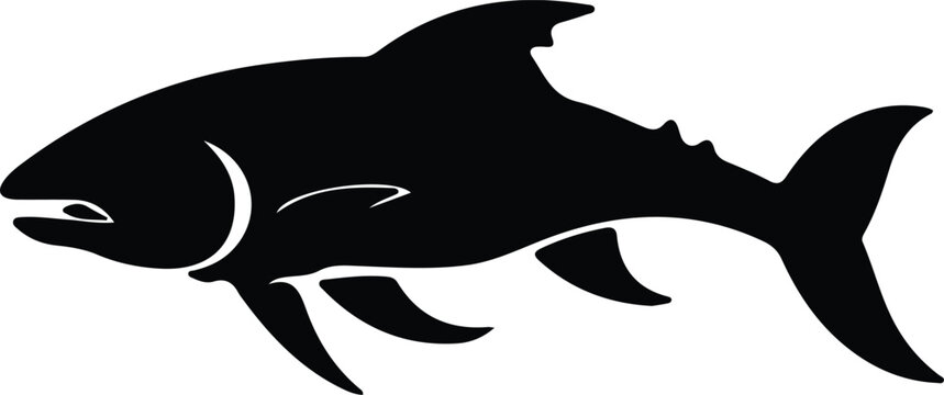 Dinichthys silhouette