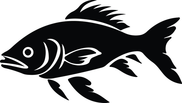 Dinichthys silhouette