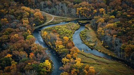 A winding river cutting through a lush, autumn-colored forest