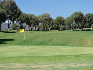 Obraz premium View of golf course with green grass and forest with beautiful putting green with rich green landscape