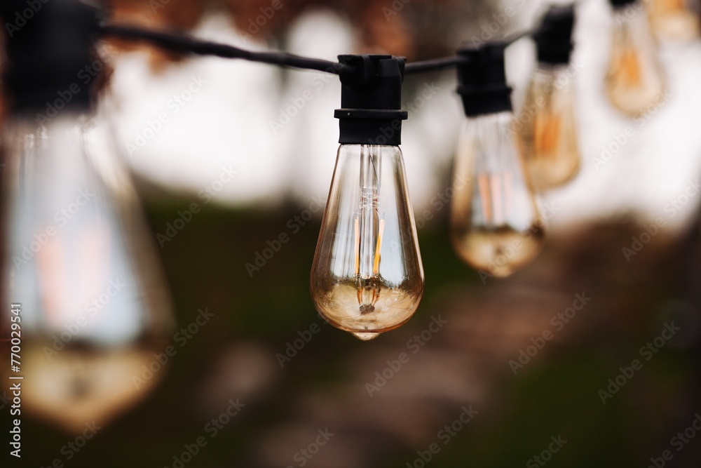 Poster antique edison light bulbs on park background. vintage style