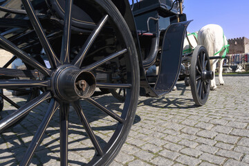 Excursion carriage with white horses in the cobblestoned castle town.