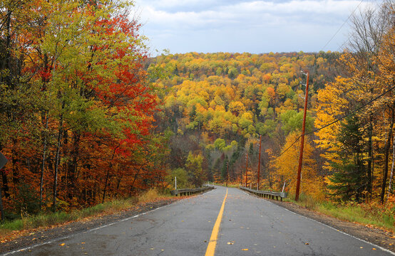 Asphalt road in autumn forest.