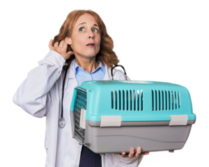 Mid-aged Caucasian vet with carrier trying to listening a gossip.