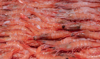 cooked prawns displayed in fishmonger