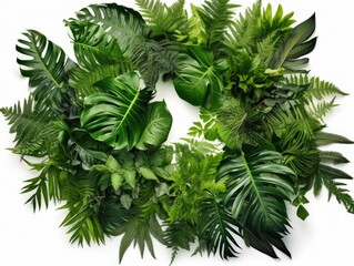 Lush green leaves of various tropical plants forming circle on white background
