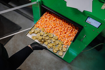Sliced pickles and pumpkin pieces being placed in a freeze dryer by a person wearing black gloves.