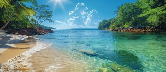 Beautiful view of the tropical jungle river at the beach of Masoala National Park in Madagascar