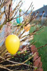 Colorful decorative easter eggs hanging on a tree in the garden