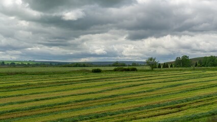 Fototapeta na wymiar green mown field, cloudy weather