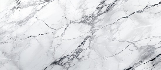 A closeup image of a snowy white marble texture resembling a frozen slope. The intricate pattern...