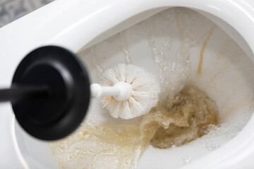 Сlose-up shot of a housekeeper in rubber gloves cleaning a dirty toilet using a special cleaning product and a brush