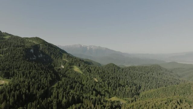 Filmed from above a beautiful image of a green forest amidst the mountains on a sunny day captured with a drone