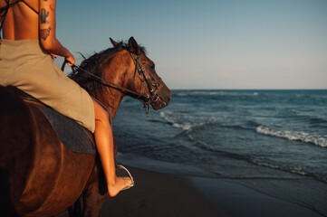 Cropped image of a tattooed woman riding a horse on a beach at sunset.