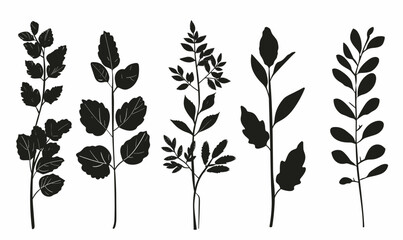 Set of black icons of twigs with leaves. Collection of vector icons of twigs with leaves on a white background - obrazy, fototapety, plakaty