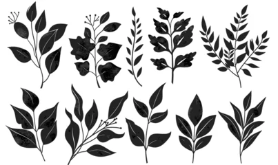 Foto op Plexiglas Set of black icons of twigs with leaves. Collection of vector icons of twigs with leaves on a white background © Stitch
