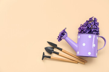 Gardening supplies and hyacinths in watering can on beige background