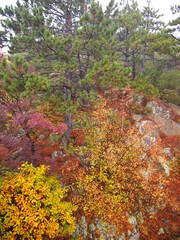 Landscape in Bulgaria