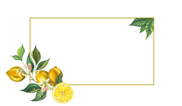 Watercolor frame with blooming lemon branch with leaves, pink flowers, yellow lemons and cut fruit. Hand drawn yellow fruits and flower isolated on white background. Fresh citrus illustration for