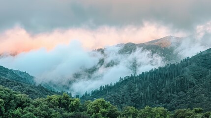  A mountain shrouded in mist and cloud, with a woodland in the fg and trees in the mg, against a backdrop of pink and azure sky