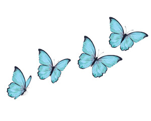 decorative blue butterfly flowers of retro vintage style butterflies. Vector illustration design for fashion, tee, t shirt, print, poster, graphic, background butterfly