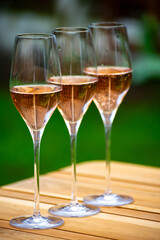 Picnic on green grass with glasses of rose champagne sparkling wine or cava, cremant produced by traditional method in caves in Champagne region, France