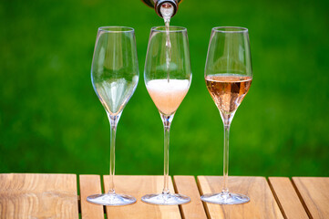 Picnic on green grass with glasses of rose champagne sparkling wine or cava, cremant produced by traditional method in caves in Champagne region, France