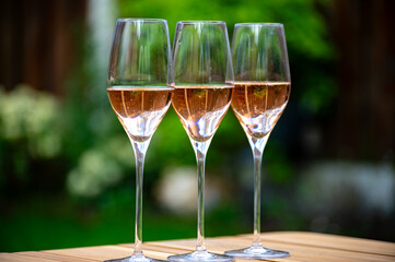 Picnic on green grass with glasses of rose champagne sparkling wine or cava, cremant produced by traditional method in caves in Champagne region, France