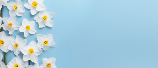 White daffodils arranged on a pale blue background with space for text. Spring floral concept suitable for invitations, stationery design, or gentle seasonal greetings.