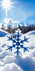 Cristal snowflakes on snow - 770069753