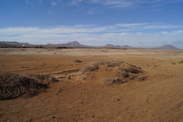 terreni sabbiosi di fuerteventura