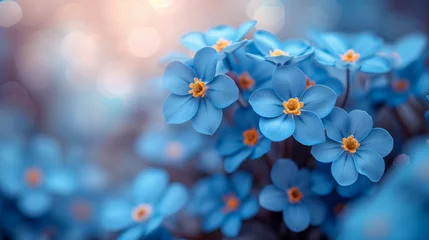 Sierkussen Beautiful blue forget-me-not flowers with bokeh background © Виктория Дутко