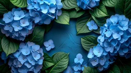Tuinposter Blue hydrangea flowers on blue background. Flat lay, top view. © Виктория Дутко