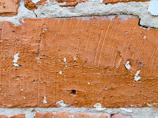 Close-up of a weathered red brick wall with peeling white paint. The rough texture of the bricks is contrasted by the smooth flakes of peeling paint.