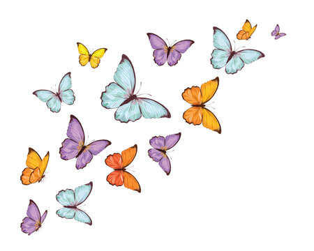 flock of cololorful butterflies  flies. Butterfly set.monarch tawny spring butterfly
