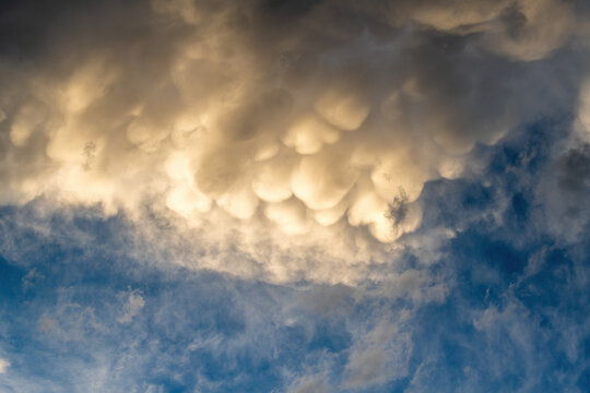 Undulating Mammatus Clouds Adorning the Vast Evening Sky